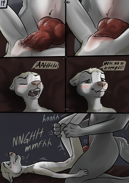 age_difference animal_genitalia bed bedroom bodily_fluids canine_genitalia duo ears_back female from_front_position furniture genitals green_eyes knot knotted_penis looking_pleasured lying male male/female missionary_position on_back on_bed penetration penis pivoted_ears raised_leg sex size_difference spread_legs spreading tears tears_of_pleasure text vaginal vaginal_penetration young young_female wolfyalex96 briana_(wolfyalex96) max_(wolfyalex96) canid canine canis domestic_dog husky mammal nordic_sled_dog spitz wolf hi_res spanish_text translated