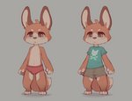 anthro bottomwear briefs bulge clothed clothing fur male red_briefs red_clothing red_underwear shirt shorts simple_background solo standing topwear underwear young young_anthro skidoo canid canine fox mammal digital_media_(artwork)