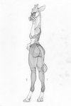 anthro bottomwear bra butt butt_pose cellphone clothing electronics female holding_cellphone holding_object holding_phone holding_smartphone horizontal_pupils long_neck looking_back midriff pants phone pose pupils selfie smartphone solo sports_bra tight_clothing underwear yoga_pants ecmajor giraffe giraffid mammal 2023 graphite_(artwork) greyscale hi_res monochrome traditional_media_(artwork)