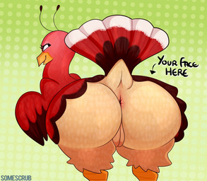 anus beak bedroom_eyes bent_over big_butt biped black_eyes butt butt_focus contextual_arrow directional_arrow dotted_background eyelashes feathered_wings feathers female feral genitals gradient_background green_background half-closed_eyes huge_butt huge_thighs information_label innie_vulva looking_at_viewer looking_back looking_back_at_viewer multicolored_body multicolored_feathers narrowed_eyes pattern_background plump_labia presenting presenting_hindquarters rear_view red_body red_feathers scutes seductive semi-anthro simple_background smile smiling_at_viewer solo tail tail_feathers text thick_thighs vulva white_body white_feathers wide_hips wings yellow_beak somescrub miitopia nintendo twerkey avian bird galliform phasianid turkey 2017 digital_media_(artwork) english_text shaded signature