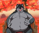 anthro anthro_pred autumn belly_tuft bench black_body black_fur blinking blue_eyes breath breathing building clothed clothing duo ear_flick fur grey_body grey_fur hand_on_belly hand_on_own_belly holding_belly house leaf licking licking_lips looking_pleasured male male_pred moobs multicolored_body multicolored_fur on_bench overweight overweight_male panting plant red_clothing red_underwear sitting sitting_on_bench snout_lick struggling struggling_prey tongue topless topless_male tree tuft two_tone_body two_tone_fur underwear underwear_only unseen_prey uvula vore bigass_buck mythology clint_(clintowolfo) canid canine canis mammal wolf animated digital_media_(artwork) short_playtime