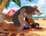 abdominal_bulge all_fours anal anal_penetration animal_genitalia animal_penis anthro anthro_on_anthro anthro_penetrated anthro_penetrating anthro_penetrating_anthro ass_up balls beach beach_towel belly big_penis blush canine_genitalia canine_penis chastity_cage chastity_device claw_marks claws clenched_teeth dialogue dirty_talk doggystyle duo from_behind_position genitals glistening glistening_genitalia glistening_knot glistening_penis grunting half-closed_eyes hand_on_face hand_on_head head_down_ass_up huge_penetration huge_penis internal kneeling knot large_penetration larger_male leapfrog_position looking_pleasured male male/male male_penetrated male_penetrating male_penetrating_male moan motion_lines musclegut muscular muscular_anthro muscular_male narrowed_eyes no_internal_organs nub_chastity_cage on_ground on_towel outside outside_sex penetration penile penile_penetration penis pinned praise profanity public public_nudity public_sex raised_tail ridiculous_fit rounded_back sand seaside sex shaking size_difference smaller_male smaller_penetrated smile tail teeth text thrusting toe_claws towel translucent trembling twitching verbal verbal_domination verbal_submission vowelless vowelless_vocalization pache_riggs arrin canid canine canis coyote mammal absurd_res english_text hi_res