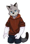 anthro bandage bandaged_arm black_nose blue_eyes bottomwear clothing cute_fangs grey_body hoodie humanoid_hands kemono male pants simple_background solo topwear white_background mkwolf2022 brok_the_investigator cowcat_games graff_filsh domestic_cat felid feline felis mammal 2024 absurd_res hi_res