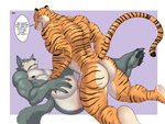 anal anal_penetration anthro blush butt countershading dialogue duo genitals male male/male male_penetrated male_penetrating male_penetrating_male nipples nude penetration penis sex speech_bubble stripes text zourik beastars bill_(beastars) legoshi_(beastars) bengal_tiger canid canine canis felid mammal pantherine tiger wolf 2020 digital_media_(artwork) english_text hi_res