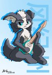 anthro blue_eyes countershading fur grey_body grey_fur guitar guitarist holding_object looking_at_viewer male multicolored_body multicolored_fur musical_instrument plucked_string_instrument simple_background sitting solo string_instrument text peakon feng_ji_zhou wang_jin_he border_collie canid canine canis collie domestic_dog herding_dog mammal pastoral_dog sheepdog 2024 character_name chinese_text dated full-length_portrait hi_res portrait shaded signature