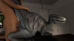 16:9 3d_(artwork) all_fours animal_genitalia animated ark_survival_evolved balls_deep bed bedroom bestiality blue_(jurassic_world) bodily_fluids breath cloaca cloacal cloacal_penetration digital_media_(artwork) dinosaur dromaeosaurid duo erection faceless_character faceless_human faceless_male female female_focus female_on_human female_penetrated feral feral_focus feral_penetrated from_behind_position furniture gasp genital_fluids genitals hi_res human human_on_feral human_penetrating human_penetrating_female human_penetrating_feral humanoid_genitalia humanoid_penis interspecies ireallyliketanks jurassic_park jurassic_world licking licking_lips looking_back looking_pleasured male male/female male_on_feral male_penetrating male_penetrating_female mammal nature no_sound panting penetration penile penile_penetration penis penis_in_cloaca reptile rock rough_sex scalie seaside sex short_playtime solo_focus tail teeth theropod throbbing throbbing_penis tongue tongue_out universal_studios utahraptor webm widescreen yellow_eyes