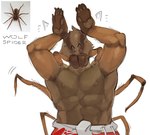 anthro barazoku brown_body brown_fur clothed clothing fur male mandibles multi_arm multi_eye multi_limb muscular muscular_male nipples raised_arms real realistic_lighting realistic_shading reference_image solo topless topless_male kogito caramelldansen wolf_spider_(kogito) arachnid araneomorph arthropod spider wolf_spider absurd_res hi_res meme