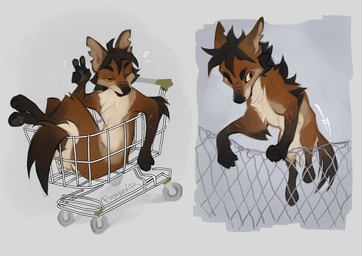 claws countershade_torso countershading feet feral front_view fur hair male paws shopping_cart simple_background solo tail toes reysi canid canine mammal 2026 digital_drawing_(artwork) digital_media_(artwork) hi_res