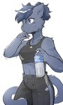 after_exercise anthro blue_hair bodily_fluids bottomwear bra clothing female hair pants pawpads ponytail solo sports_bra sportswear sweat sweatdrop underwear conditional_dnp sonokido pocari_sweat ventura_city_drifters alina_scratch domestic_cat felid feline felis mammal russian_blue absurd_res hi_res