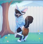 abdl anthro black_body black_fur black_nose blush bunnyhopps_(diaper) clothing diaper digitigrade feces fur grass grey_body grey_fur hoodie looking_back male one_eye_closed outside plant soiled_diaper soiling solo standing tail tongue tongue_out topwear unclean_diaper used_diaper applepup abuniverse bunnyhopps canid canine mammal digital_drawing_(artwork) digital_media_(artwork) hi_res