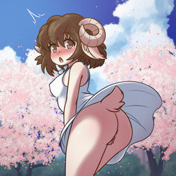 anthro anus blush bodily_fluids bottomless breasts brown_hair butt cherry_blossom cherry_blossom_tree cherry_tree clothed clothing clothing_lift cloud curled_horn detailed_background dress dress_lift embarrassed eyebrow_through_hair eyebrows female flower fruit_tree genitals hair horn looking_at_viewer no_underwear open_mouth outside plant prunus_(flower) pupils short_hair sky slit_pupils solo spiral_horn sundress surprised sweat translucent translucent_hair tree under_clothes vulva wind bunnybits conditional_dnp animal_humanoid bovid bovid_humanoid caprine caprine_humanoid humanoid mammal mammal_humanoid sheep sheep_humanoid 1:1 absurd_res digital_media_(artwork) hi_res shaded