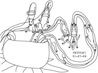balls eyes_closed female female_prey feral genitals male male_prey oral_vore plant plant_vore simple_background tail tentacle_vore vore vulva white_background urbanhermit mammal murid murine plant_monster rat rodent 1991 black_and_white dated low_res monochrome