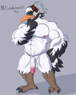 anthro balls beak biceps biped circumcised circumcision_scar clothing eyewear feathers flaccid genital_scar genitals glans goggles hat headgear headwear humanoid_genitalia humanoid_penis male muscular muscular_anthro muscular_male nipples non-mammal_nipples pecs penis scar simple_background solo standing text white_body white_feathers isaacyote nintendo tears_of_the_kingdom the_legend_of_zelda penn_(tloz) avian bird pelecaniform pelican rito 2023 absurd_res colored digital_media_(artwork) english_text hi_res