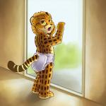 1:1 ambiguous_gender anthro astolpho cheetah clean_diaper clothed clothing diaper diaper_only digital_media_(artwork) feet felid feline fur hi_res king_cheetah looking_at_viewer mammal open_mouth solo spots standing tongue topless wearing_diaper window yellow_body yellow_eyes yellow_fur young young_anthro