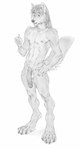 anthro areola balls biped digitigrade eyebrows foreskin fur genitals glans hair humanoid_genitalia humanoid_penis long_penis male navel nipples nude open_mouth partially_retracted_foreskin penis simple_background solo standing tail vein veiny_penis whiskers white_background shepherdart canid canine fox mammal 2020 absurd_res digital_media_(artwork) greyscale hi_res monochrome