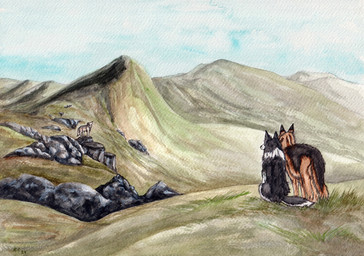 ambiguous_gender black_body black_fur day duo_focus feral fur grass group mountain orange_body orange_fur outside plant rear_view rock side_view sitting sky trio white_body white_fur kola_(artist) border_collie canid canine canis collie domestic_dog german_shepherd herding_dog mammal pastoral_dog sheepdog wolf 2024 dated