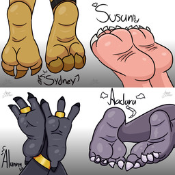 aadara_(minusdanna) alanna_(minusdanna) ankle_band anthro avian_feet claws feet female foot_fetish foot_focus group paws ring_(jewelry) soles susan_(minusdanna) sydney_(minusdanna) minusdanna apodiform avian bat bird eulipotyphlan hummingbird mammal mole_(animal) penguin 1:1 absurd_res hi_res