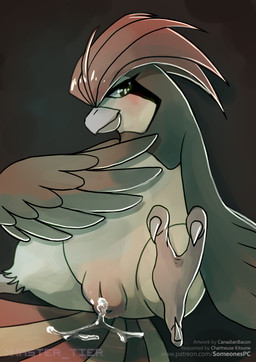 3_toes aroused avian_feet beak bedroom_eyes biped bipedal_feral black_body black_eyes black_feathers blush bodily_fluids brown_body brown_feathers claws curling_toes digitigrade dripping eyelashes feathered_wings feathers feet female feral front_view genital_fluids genitals looking_at_viewer multicolored_body multicolored_feathers multicolored_tail narrowed_eyes pink_beak plump_labia presenting presenting_vulva red_body red_feathers red_tail scutes seductive sitting smile smiling_at_viewer smirk solo spread_legs spreading tail tail_feathers talons tan_body tan_feathers text toe_claws toes two_tone_tail vaginal_fluid_drip vaginal_fluids vulva white_claws wings yellow_body yellow_feathers yellow_tail canadianbacon nintendo pokemon someone's_pc avian bird generation_1_pokemon pidgeotto pokemon_(species) 2019 artist_name digital_media_(artwork) english_text hi_res shaded url watermark