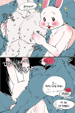 animal_genitalia athletic comparing duo female fully_sheathed genitals male male/female muscular pec_grab pecs sheath shy size_difference speech_bubble surprised mungz_bt beastars haru_(beastars) legoshi_(beastars) canid canine canis domestic_rabbit dwarf_rabbit lagomorph leporid mammal oryctolagus rabbit wolf hi_res