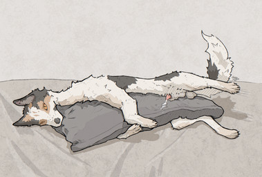 after_masturbation after_penile_masturbation anatomically_correct anatomically_correct_genitalia animal_genitalia animal_penis balls bite bodily_fluids canine_genitalia canine_penis cum cum_drip cum_on_pillow cum_string dripping ejaculation erection fangs feral fur genital_fluids genitals grinding half-erect hug hugging_object hugging_pillow inside knot knot_in_sheath knotted_penis lipsticking looking_at_viewer lying male markings masturbation mattress multicolored_body multicolored_fur on_side penetration penile penile_masturbation penile_penetration penis penis_tip pillow pillow_bite pillow_humping quadruped sheath simple_background solo spots spotted_markings spread_legs spreading teeth toony tuft white_body white_fur hotdogmeat canid canine canis domestic_dog mammal 2025 digital_media_(artwork) hi_res