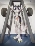 abs anthro athletic athletic_anthro athletic_male balls barbell biceps big_balls erection exercise fingers fur genitals gym leg_muscles looking_at_viewer male muscular muscular_anthro muscular_male nude open_mouth pecs penis sergal_penis smile smiling_at_viewer solo tail weights white_body white_fur workout conditional_dnp teremunart troglo_(troglotroll) sergal absurd_res hi_res