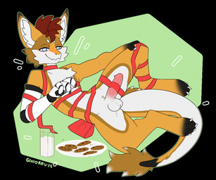 anthro balls blue_eyes erection femboy fluffy fur fuzzy genitals hair holidays looking_at_viewer male markings nude orange_body orange_fur penis presenting presenting_penis prosthetic prosthetic_arm prosthetic_limb simple_background smile solo tail white_body wrapped_up ginorru christmas durrvish novabeast digital_media_(artwork) hi_res
