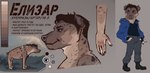 anthro black_hair chibi clothed clothing feral fingers fur hair male nude plant simple_background smile solo tail teeth text topwear conditional_dnp kombat300 tgt1512 hyena mammal spotted_hyena digital_media_(artwork) model_sheet russian_text