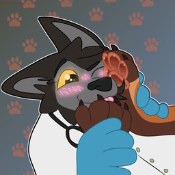 4_toes 5_fingers anthro big_ears big_eyes big_nose black_body black_ears black_fur black_nose blue_clothing blue_gloves blue_handwear blush blush_lines brown_body brown_fur cheek_tuft claws close-up clothing coat doctor duo excited eyebrows faceless_character facial_tuft feet fingers foot_fetish foot_focus foot_grab foot_lick foot_on_face foot_play fur gloves glowing glowing_blush glowing_eyes grey_background grey_body grey_fur handwear happy head_tuft hindpaw humanoid_hands lab_coat licking male male/male medical_gloves medical_instrument mostly_offscreen_character one_eye_closed outline pattern_background paw_pattern pawpads paws pink_blush raised_eyebrow scientific_instrument simple_background snout stethoscope text toes tongue topwear tuft white_clothing white_outline white_topwear fireyfoxxo janusz pla_(alottaplaplapla) canid canine canis hybrid mammal northern_olingo olingo procyonid wolf wolfdog 1:1 2024 artist_name colored digital_drawing_(artwork) digital_media_(artwork) hi_res portrait watermark