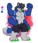 2_tails 4_arms 4_eyes 4_pecs anthro bottomwear canid canine canis clothing conditional_dnp facial_piercing fox fusion hi_res hybrid licos male mammal merging multi_arm multi_eye multi_limb multi_pecs multi_tail nose_piercing nose_ring pecs piercing ring_piercing shorts solo standing tail wolf