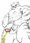 abs anthro balls biceps big_muscles black_body black_fur black_nose blue_eyes blush bodily_fluids claws flaccid foreskin fur genital_fluids genitals hand_on_penis kemono leucistic looking_at_genitalia looking_at_penis low-angle_view male muscular muscular_anthro muscular_male navel nipples nude pecs peeing peeing_on_viewer penis simple_background solo standing stripes urine urine_stream vein veiny_penis white_background white_body white_fur burntricegoblin grimoire_of_zero mercenary_(grimoire_of_zero) felid mammal pantherine tiger 2017 absurd_res hi_res