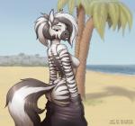 2018 anthro beach big_breasts black_body black_fur breasts brown_eyes butt clothing digital_media_(artwork) equid equine exposure_variation female fur hair hi_res kinyua mammal multicolored_body multicolored_fur nipples nude palm_tree plant public reaper3d seaside side_boob simple_background smile solo striped_body striped_fur stripes tree two_tone_body two_tone_fur undressing white_body white_fur zebra