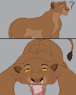 age_difference animal_genitalia animal_penis bodily_fluids cum cum_in_mouth cum_inside eye_roll feline_genitalia feline_penis fellatio female feral genital_fluids genitals looking_at_viewer male male/female offscreen_male older_female ooh oral penile penile_spines penis satisfied satisfied_look sex solo toony king_hg_21 disney the_lion_king sarabi_(the_lion_king) felid lion mammal pantherine absurd_res hi_res