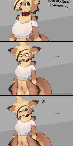 anthro bare_shoulders big_breasts bottomless bra breasts chest_tuft clothed clothing collar confusion dialogue female front_view fur genitals highlights_(coloring) innie_vulva legs_together looking_at_viewer looking_down navel offscreen_character partially_clothed pubes solo standing text thick_thighs thigh_fur topwear tuft underwear vulva conditional_dnp pawpadcomrade bra_strap_showing_(meme) nutmeg_(pawpadcomrade) canid canine canis domestic_dog mammal english_text hi_res
