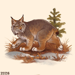 ambiguous_gender black_tail_tip bobtail dipstick_tail evergreen_tree feral fluffy fluffy_face fur grass grey_body grey_fur markings multicolored_body multicolored_fur paws pine_tree plant quadruped red_nose small_tail snow solo tail tail_markings tan_body tan_fur tree whisker_spots yellow_eyes alexpahomov canada_lynx felid feline lynx mammal 1:1 2026 digital_media_(artwork) digital_painting_(artwork) painting_(artwork)