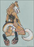 anthro balls brown_body brown_fur butt erection feet forked_tongue fur genitals green_eyes kneeling looking_at_viewer looking_back looking_back_at_viewer male nude penis solo tail tongue tongue_out anyare nivalis sergal 2014