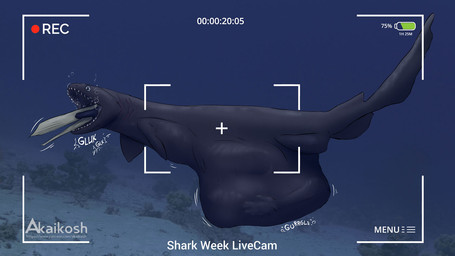 ambiguous_gender black_body black_fin black_tail dorsal_fin duo feral feral_pred fin human_prey oral_vore shark_tail tail text underwater vore water akaikosh discovery_channel shark_week aquatic chlamydoselachid fish frilled_shark hexanchiform human mammal shark 2024 english_text