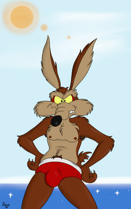 anthro armpit_hair beach body_hair brown_body brown_fur bulge clothed clothing fur hairy male mostly_nude nipples pubes red_clothing red_speedo red_swimwear solo speedo speedo_only standing swimwear tail toony topless yellow_eyes yellow_sclera rasik looney_tunes warner_brothers wile_e._coyote canid canine canis coyote mammal 2026 absurd_res hi_res