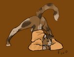 anthro ass_up bottomless brown_background brown_body brown_fur clothed clothing fur genitals jack-o'_pose male penis pose shirt simple_background smile solo spots sweater topwear scorchwind58 calico_cat domestic_cat felid feline felis mammal 2021 hi_res