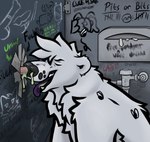 anthro armpit_hair bathroom black_nose bodily_fluids body_hair flies_for_smell fur genitals glory_hole graffiti graffiti_on_wall hunched_over hunching looking_pleasured male male/male nasal_insertion nasal_penetration nose_fucking noseplay penis penis_in_nose pink_penis public_restroom questionable_consent restroom_stall smelly snot snot_in_mouth solo tight_fit toilet uwu white_body white_fur kumatsu arthropod bear fly_(animal) insect mammal polar_bear ursine