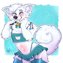 anthro bell bell_collar blush cat_lingerie clothing collar femboy fur green_eyes legwear lingerie male solo thigh_highs white_body white_fur narwilltharu ollie_(sodalunary) canid canine canis domestic_dog mammal nordic_sled_dog samoyed spitz hi_res