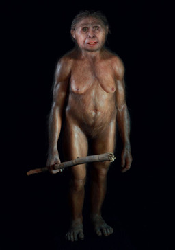 black_background featureless_crotch female hairy nude simple_background solo what what_has_science_done unknown_artist ape archaic_human haplorhine hominin homo_floresiensis mammal primate hi_res source_request
