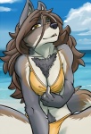 2016 anthro beach bikini breasts camp_pines canid canine canis chest_tuft clothed clothing digital_media_(artwork) domovoi_lazaroth ear_tuft female fur makwa_ikwa mammal mature_female multicolored_body multicolored_fur nipple_outline pubes public seaside shaded skimpy solo swimwear tuft two-piece_swimsuit wolf yellow_eyes