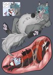 abdominal_bulge belly big_belly bodily_fluids duo fully_inside inside_stomach internal liquids male male/male oral_vore vore willing_pred willing_prey skrymer1 canid canine canis mammal wolf absurd_res digital_media_(artwork) hi_res