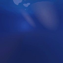 duo feral first_person_view inside_mouth internal macro mouth_play mouth_shot open_mouth oral oral_vore prey_pov size_difference soft_vore struggling struggling_prey swallowed_whole throat tongue underwater vore water silly_roll cetacean dolphin human mammal marine oceanic_dolphin orca toothed_whale 1:1 3d_(artwork) 3d_animation animated digital_media_(artwork) long_playtime sound webm