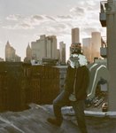 baseball_cap city clothed clothing day draw_over hat headgear headwear inky jacket male mammal mephitid mlb new_york_city new_york_yankees outside photo_background photography_(artwork) rooftop skunk solo standing timberland topwear waltzingwbears_(artist)