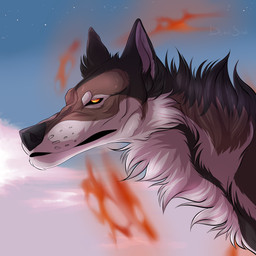 ambiguous_gender black_body black_fur black_nose blue_sky brown_body brown_fur cheek_tuft cloud facial_tuft feral fur mouth_closed narrowed_eyes neck_tuft orange_eyes outside side_view sky solo tuft white_body white_fur msdeadsoul canid canine mammal 1:1 absurd_res hi_res