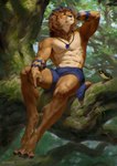 abs anthro black_body black_nose bottomwear branch brown_body brown_fur brown_hair claws clothed clothing digitigrade eyes_closed feral finger_claws fingers fur gem hair jewelry leaf looking_at_another male mane moss muscular muscular_anthro muscular_male necklace outside pawpads paws pecs plant round_ears shorts shorts_only sitting sky snout solo tail topless tree alsares dexterlion avian bird felid lion mammal pantherine 2023 digital_media_(artwork) digital_painting_(artwork) hi_res painting_(artwork)