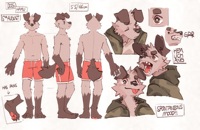 anthro black_body black_eyes black_fur boxers_(clothing) clothing floppy_ears fur green_clothing green_hoodie green_topwear hoodie male red_boxers red_clothing red_underwear slim_anthro slim_male topwear underwear white_body white_fur hemuchang shin_(hemuchang) canid canine canis domestic_dog mammal 2022 hi_res model_sheet