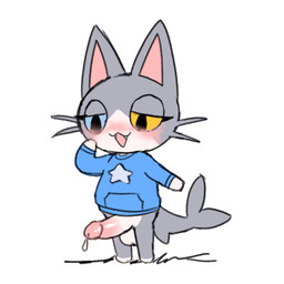 anthro aroused balls blush bottomless chibi clothed clothing genitals heterochromia humanoid_genitalia humanoid_penis male penis shark_tail simple_background small_but_hung solo standing sweater topwear whiskers popstick animal_crossing nintendo pop_(popstick) domestic_cat felid feline felis fish hybrid mammal marine shark 2024 hi_res