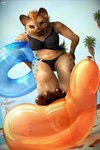 anthro balloon balloon_fetish balloon_popping bent_over bikini breasts brown_body brown_fur clothing feet female foot_on_balloon fur hair holding_object holding_pool_toy holding_swim_ring inflatable inner_tube looking_at_viewer mohawk paws pool_toy poolside popping smile smirk solo stomping swim_ring swimwear two-piece_swimsuit vanchee hyena mammal spotted_hyena 2020 2:3 absurd_res hi_res smaller_version_at_source